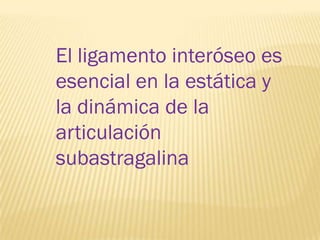 El ligamento interóseo es
esencial en la estática y
la dinámica de la
articulación
subastragalina
 