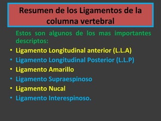 Resumen de los Ligamentos de la
columna vertebral
Estos son algunos de los mas importantes
descriptos:
• Ligamento Longitudinal anterior (L.L.A)
• Ligamento Longitudinal Posterior (L.L.P)
• Ligamento Amarillo
• Ligamento Supraespinoso
• Ligamento Nucal
• Ligamento Interespinoso.
 