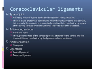 Joints of the upper limb by Dr. MemoOna Huzaifa | PPT