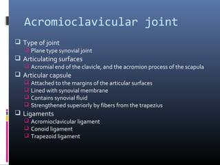 Joints of the upper limb by Dr. MemoOna Huzaifa | PPT