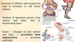 ligament_tendon.pdf of the musculoskeletal book course | PDF