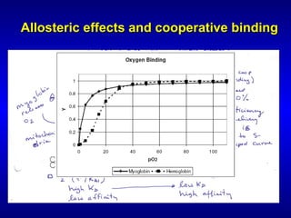 Ligand binding | PPT