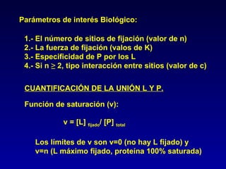 Parámetros de interés Biológico: 1.- El número de sitios de fijación (valor de n) 2.- La fuerza de fijación (valos de K) 3.- Especificidad de P por los L 4.- Si n  ≥  2, tipo interacción entre sitios (valor de c) CUANTIFICACIÓN DE LA UNIÓN L Y P. Función de saturación (v): v = [L]  fijado / [P]  total Los límites de v son v=0 (no hay L fijado) y v=n (L máximo fijado, proteína 100% saturada)  