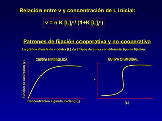 v = n K [L] i c  / (1+K [L] i c  ) Relación entre v y concentración de L inicial: Patrones de fijación cooperativa y no cooperativa CURVA SIGMOIDAL v [L] i La gráfica directa de v contra [L] i  da 2 tipos de curva con diferente tipo de fijación: Concentración Ligando inicial ([L] i ) Función de saturación (v) CURVA HIPEBÓLICA 