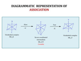 DIAGRAMMATIC REPRESENTATION OF
ASSOCIATION
 