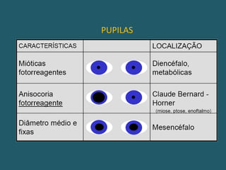 EXAME NEUROLÓGICO* Pupilas;* Reflexo fotomotor;* Reflexo córneo-palpebral;* Reflexo óculo-cefálico;* Reflexo óculo-vestibular;* Reflexo cílio-espinhal;* Respiração;* Resposta motora.