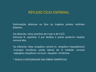 REFLEXO ÓCULO-VESTIBULAR(Prova Calórica)POLISSINÁPTICOAVALIAÇÃO – PONTE E MESENCÉFALO