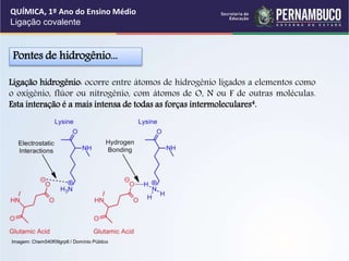 Pontes de hidrogênio...
Ligação hidrogênio: ocorre entre átomos de hidrogênio ligados a elementos como
o oxigênio, flúor ou nitrogênio, com átomos de O, N ou F de outras moléculas.
Esta interação é a mais intensa de todas as forças intermoleculares4.
QUÍMICA, 1º Ano do Ensino Médio
Ligação covalente
Imagem: Chem540f09grp6 / Domínio Público
 