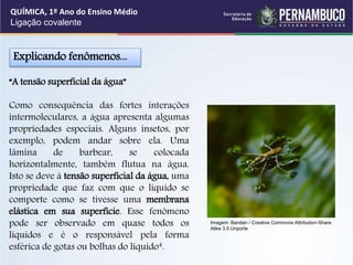 “A tensão superficial da água”
Como consequência das fortes interações
intermoleculares, a água apresenta algumas
propriedades especiais. Alguns insetos, por
exemplo, podem andar sobre ela. Uma
lâmina de barbear, se colocada
horizontalmente, também flutua na água.
Isto se deve à tensão superficial da água, uma
propriedade que faz com que o líquido se
comporte como se tivesse uma membrana
elástica em sua superfície. Esse fenômeno
pode ser observado em quase todos os
líquidos e é o responsável pela forma
esférica de gotas ou bolhas do líquido4.
Explicando fenômenos...
QUÍMICA, 1º Ano do Ensino Médio
Ligação covalente
Imagem: Bandan / Creative Commons Attribution-Share
Alike 3.0 Unporte
 