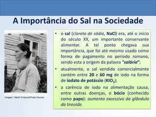 A Importância do Sal na Sociedade
• o sal (cloreto de sódio, NaCl) era, até o início
do século XX, um importante conservante
alimentar. A tal ponto chegava sua
importância, que foi até mesmo usado como
forma de pagamento no período romano,
sendo esta a origem da palavra "salário”;
• atualmente, o sal vendido comercialmente
contém entre 20 e 60 mg de iodo na forma
de iodato de potássio (KIO3);
• a carência de iodo na alimentação causa,
entre outras doenças, o bócio (conhecido
como papo): aumento excessivo da glândula
da tireoide.
QUÍMICA, 1º Ano do Ensino Médio
Ligações Iônicas
Imagem : Martin Finborud/Public Domain
 