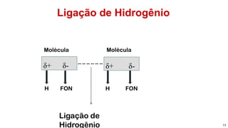 Ligação de Hidrogênio
11
δ+ δ- δ+ δ--- -- -- -- -- --
H FON H FON
Molécula Molécula
Ligação de
Hidrogênio
 