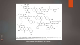 Uma versão esquemática do carvão 
ÍNDICE 
 