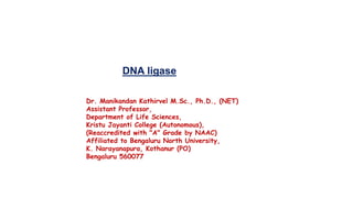 DNA ligase
Dr. Manikandan Kathirvel M.Sc., Ph.D., (NET)
Assistant Professor,
Department of Life Sciences,
Kristu Jayanti College (Autonomous),
(Reaccredited with "A" Grade by NAAC)
Affiliated to Bengaluru North University,
K. Narayanapura, Kothanur (PO)
Bengaluru 560077
 