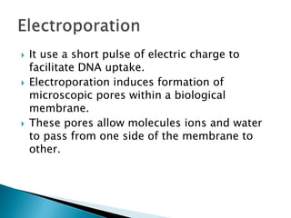  It use a short pulse of electric charge to
facilitate DNA uptake.
 Electroporation induces formation of
microscopic pores within a biological
membrane.
 These pores allow molecules ions and water
to pass from one side of the membrane to
other.
 