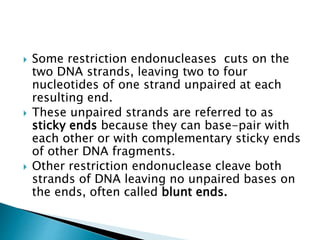  Some restriction endonucleases cuts on the
two DNA strands, leaving two to four
nucleotides of one strand unpaired at each
resulting end.
 These unpaired strands are referred to as
sticky ends because they can base-pair with
each other or with complementary sticky ends
of other DNA fragments.
 Other restriction endonuclease cleave both
strands of DNA leaving no unpaired bases on
the ends, often called blunt ends.
 