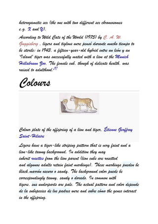 Liger | DOCX
