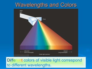 Wavelengths and Colors D i f f e r e n t   colors of visible light correspond to different wavelengths. 