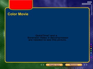 Color Movie 