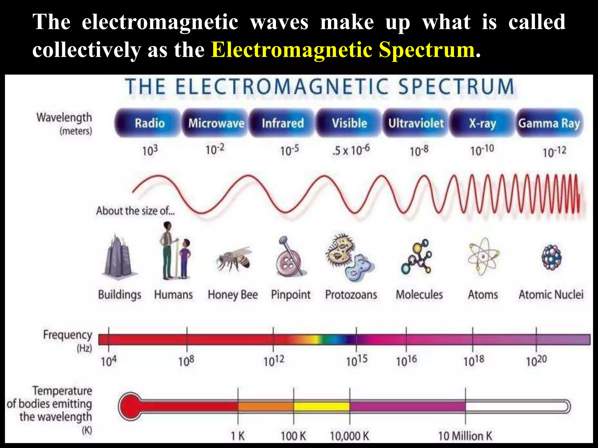 The electromagnetic waves make up what is called
collectively as the Electromagnetic Spectrum.
 