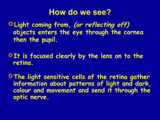 How do we see?
Light coming from, (or reflecting off)
 objects enters the eye through the cornea
 then the pupil.

It is focused clearly by the lens on to the
 retina.

The light sensitive cells of the retina gather
 information about patterns of light and dark,
 colour and movement and send it through the
 optic nerve.
 