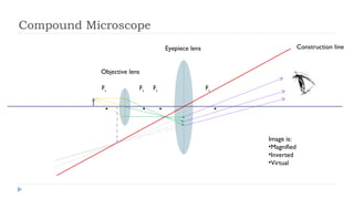 Compound Microscope
Construction line

Eyepiece lens
Objective lens
Fo

.

Fo

Fe

. .

Fe

.
Image is:
•Magnified
•Inverted
•Virtual

 