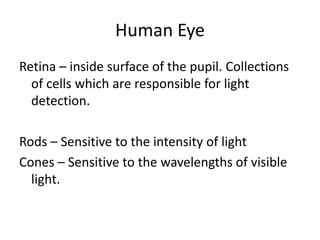 Human Eye
Retina – inside surface of the pupil. Collections
of cells which are responsible for light
detection.
Rods – Sensitive to the intensity of light
Cones – Sensitive to the wavelengths of visible
light.
 