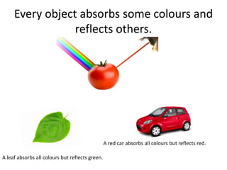 Every object absorbs some colours and
reflects others.
A leaf absorbs all colours but reflects green.
A red car absorbs all colours but reflects red.
 