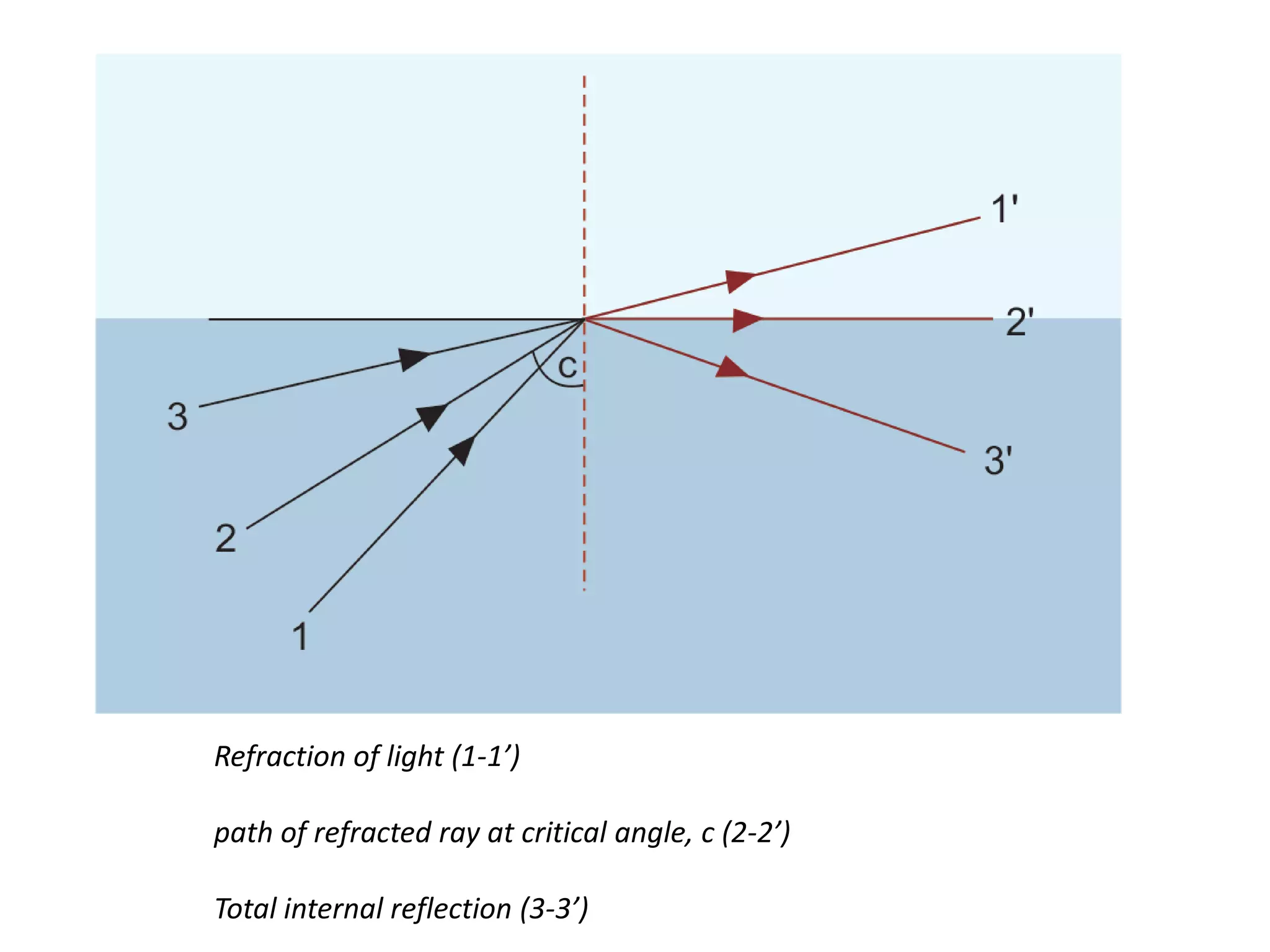 Refraction of light (1-1’)
path of refracted ray at critical angle, c (2-2’)
Total internal reflection (3-3’)
 