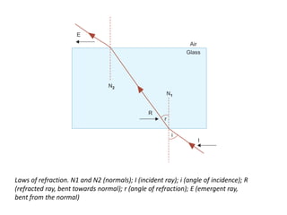 LIGHT.pdf