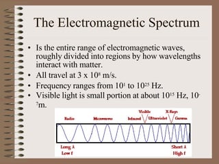 The Electromagnetic Spectrum
• Is the entire range of electromagnetic waves,
roughly divided into regions by how wavelengths
interact with matter.
• All travel at 3 x 108 m/s.
• Frequency ranges from 101 to 1025 Hz.
• Visible light is small portion at about 1015 Hz, 10-
7m.
 