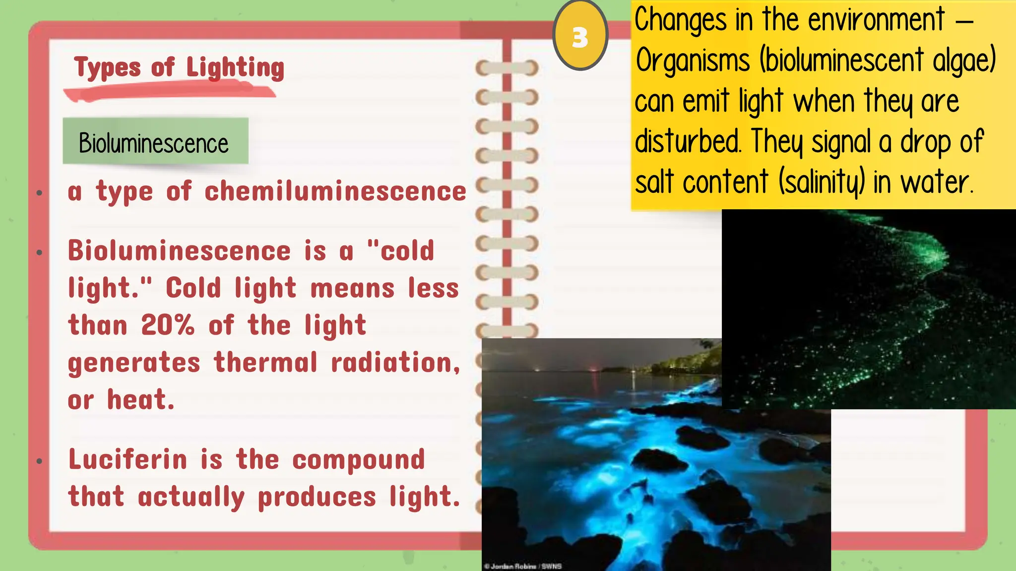 Types of Lighting
Bioluminescence
Changes in the environment –
Organisms (bioluminescent algae)
can emit light when they are
disturbed. They signal a drop of
salt content (salinity) in water.
3
• a type of chemiluminescence
• Bioluminescence is a "cold
light." Cold light means less
than 20% of the light
generates thermal radiation,
or heat.
• Luciferin is the compound
that actually produces light.
 