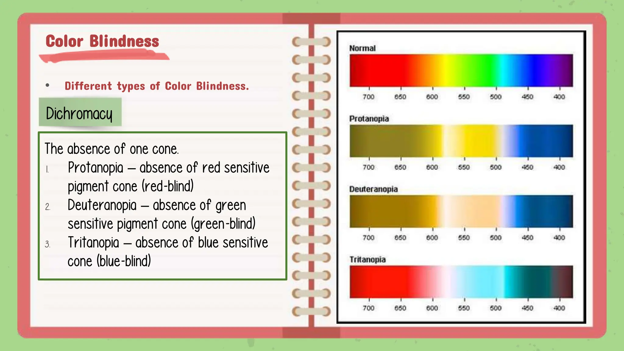 Color Blindness
• Different types of Color Blindness.
Dichromacy
The absence of one cone.
1. Protanopia – absence of red sensitive
pigment cone (red-blind)
2. Deuteranopia – absence of green
sensitive pigment cone (green-blind)
3. Tritanopia – absence of blue sensitive
cone (blue-blind)
 