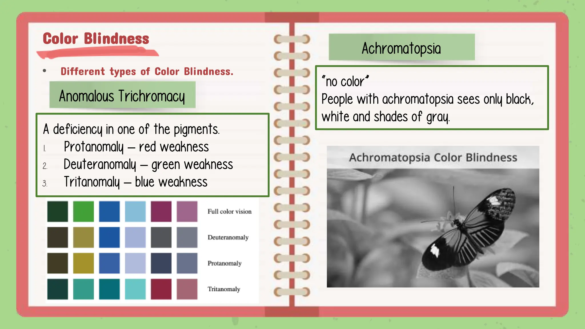 Color Blindness
• Different types of Color Blindness.
Anomalous Trichromacy
A deficiency in one of the pigments.
1. Protanomaly – red weakness
2. Deuteranomaly – green weakness
3. Tritanomaly – blue weakness
Achromatopsia
“no color”
People with achromatopsia sees only black,
white and shades of gray.
 