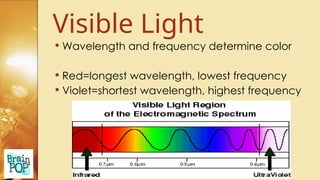Understanding Light: Properties, Behavior, and Color Phenomena | PPTX