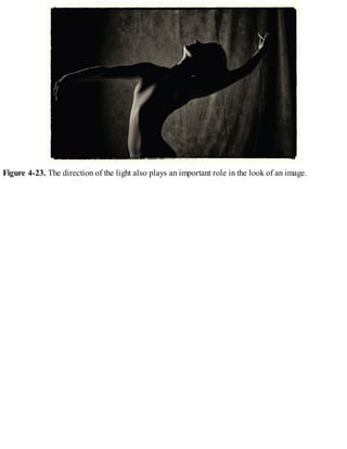 Figure 4-23. The direction of the light also plays an important role in the look of an image.
 