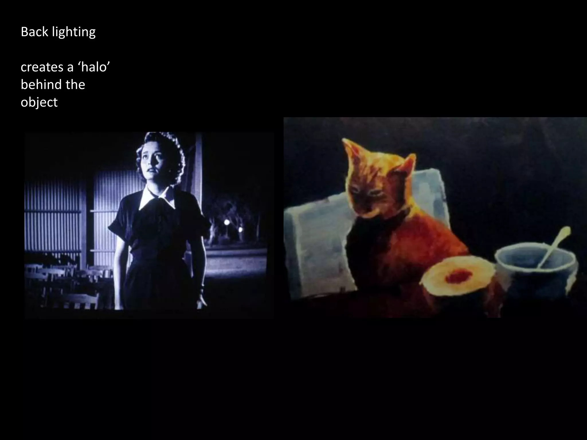 Back lighting
creates a ‘halo’
behind the
object
 