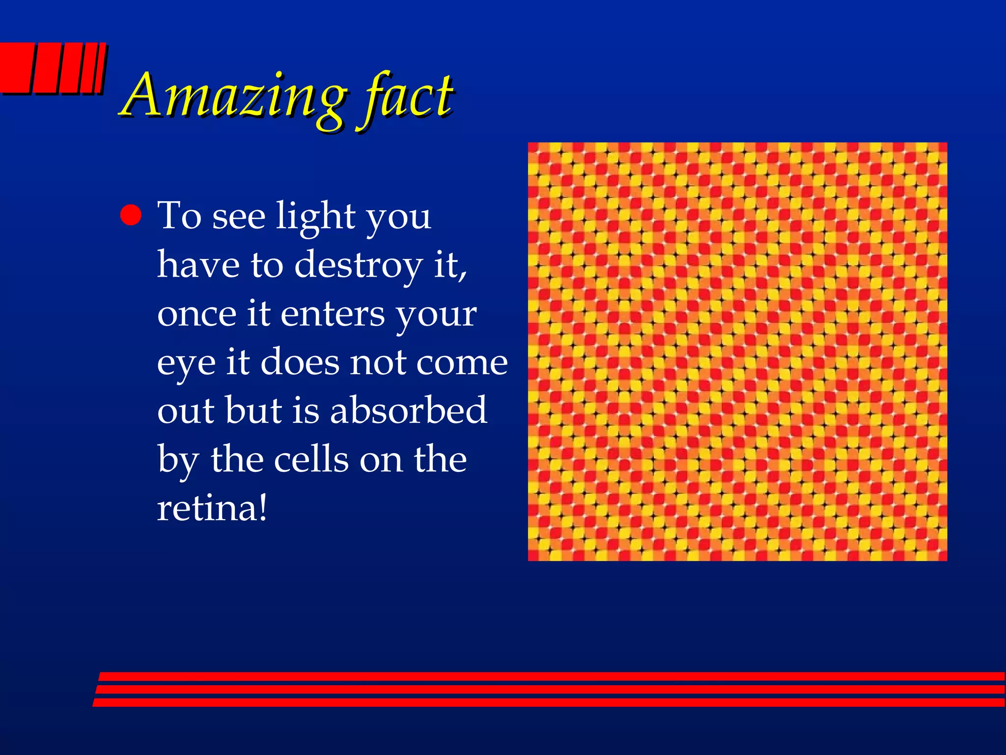 Amazing fact To see light you have to destroy it, once it enters your eye it does not come out but is absorbed by the cells on the retina!