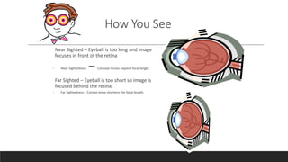 How You See
Near Sighted – Eyeball is too long and image
focuses in front of the retina
◦ Near Sightedness – Concave lenses expand focal length
Far Sighted – Eyeball is too short so image is
focused behind the retina.
◦ Far Sightedness – Convex lense shortens the focal length.
 