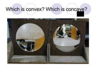 Which is convex? Which is concave? 