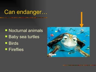 Can endanger… Nocturnal animals Baby sea turtles Birds Fireflies 