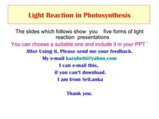 Light Reaction in   Photosynthesis ,[object Object],[object Object],[object Object],[object Object],[object Object],[object Object],[object Object],[object Object]