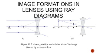 Figure 10.2 Nature, position and relative size of the image
formed by a concave lens
 