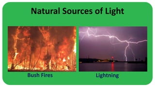 Natural Sources of Light
Bush Fires Lightning
 