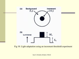 Fig 10. Light adaptation using an increment threshold experiment


                    Gauri S. Shrestha, M.Optom, FIACLE
 