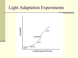 Light Adaptation Experiments




           Gauri S. Shrestha, M.Optom, FIACLE
 
