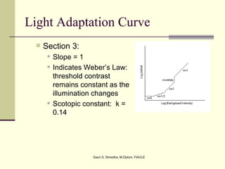 Light Adaptation Curve
    Section 3:
         Slope = 1
         Indicates Weber’s Law:
          threshold contrast
          remains constant as the
          illumination changes
         Scotopic constant: k =
          0.14




                      Gauri S. Shrestha, M.Optom, FIACLE
 