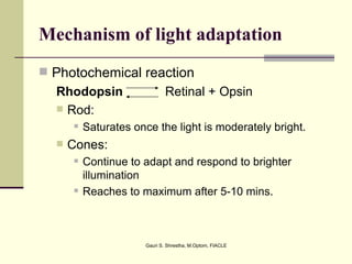 Mechanism of light adaptation
 Photochemical reaction
  Rhodopsin                   Retinal + Opsin
   Rod:
         Saturates once the light is moderately bright.
     Cones:
         Continue to adapt and respond to brighter
          illumination
         Reaches to maximum after 5-10 mins.



                      Gauri S. Shrestha, M.Optom, FIACLE
 