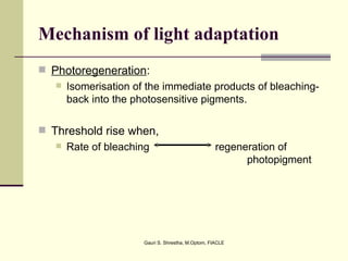 Mechanism of light adaptation
 Photoregeneration:
    Isomerisation of the immediate products of bleaching-
     back into the photosensitive pigments.

 Threshold rise when,
    Rate of bleaching                             regeneration of
                                                         photopigment




                     Gauri S. Shrestha, M.Optom, FIACLE
 