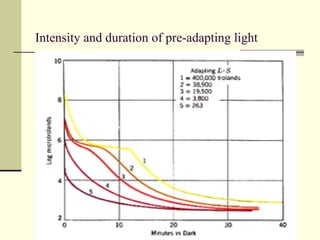 Intensity and duration of pre-adapting light




                   Gauri S. Shrestha, M.Optom, FIACLE
 