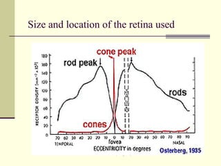 Size and location of the retina used




               Gauri S. Shrestha, M.Optom, FIACLE
 